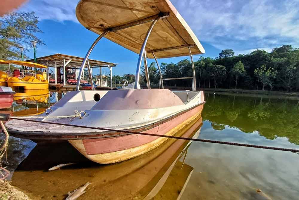 Bangkai ikan timbul di permukaan tasik Taman Bandar Indera Mahkota ketika tinjauan Sinar Harian pada Khamis.