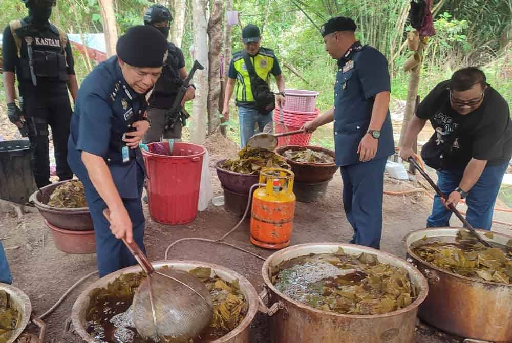 Wan Jamal (kiri) melihat ketum yang diproses dalam periuk besar ketika serbuan di Kampung Pek, Machang. Foto JKDM