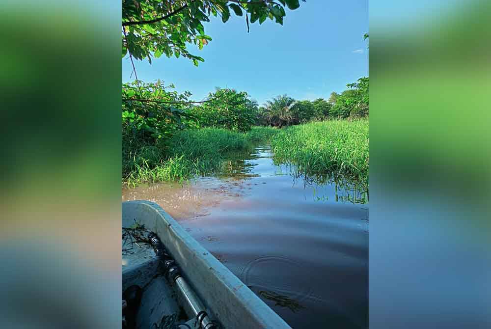 Lokasi mangsa hilang dikhuatiri dibaham buaya di Sungai Subuk, Kampung Sobak Perpaduan, Kinabatangan.