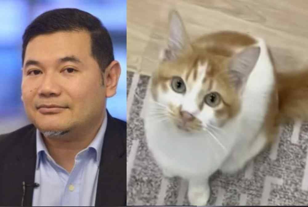 Kucing kesayangan Rafizi yang hilang sejak lima hari yang lalu telah pulang ke kembali ke rumahnya pada pagi Khamis,