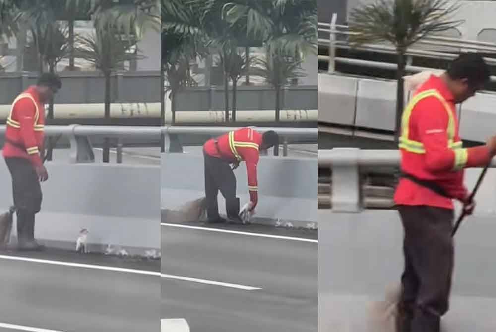 Video tular memaparkan tindakan lelaki berkenaan yang sedang sibuk menyapu jalan bertindak mengangkat kucing sesat itu lalu diletakkan ke atas bahunya.