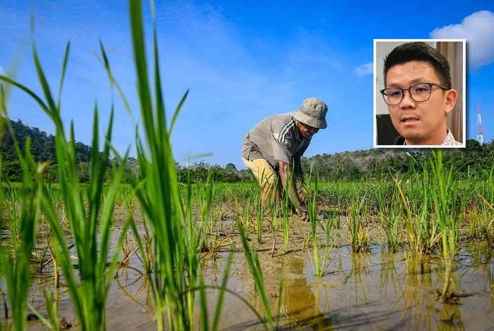 Siasat isu harga benih padi sah yang dijual ejen melebihi harga siling yang ditetapkan. Gambar kecil: Kar Hing