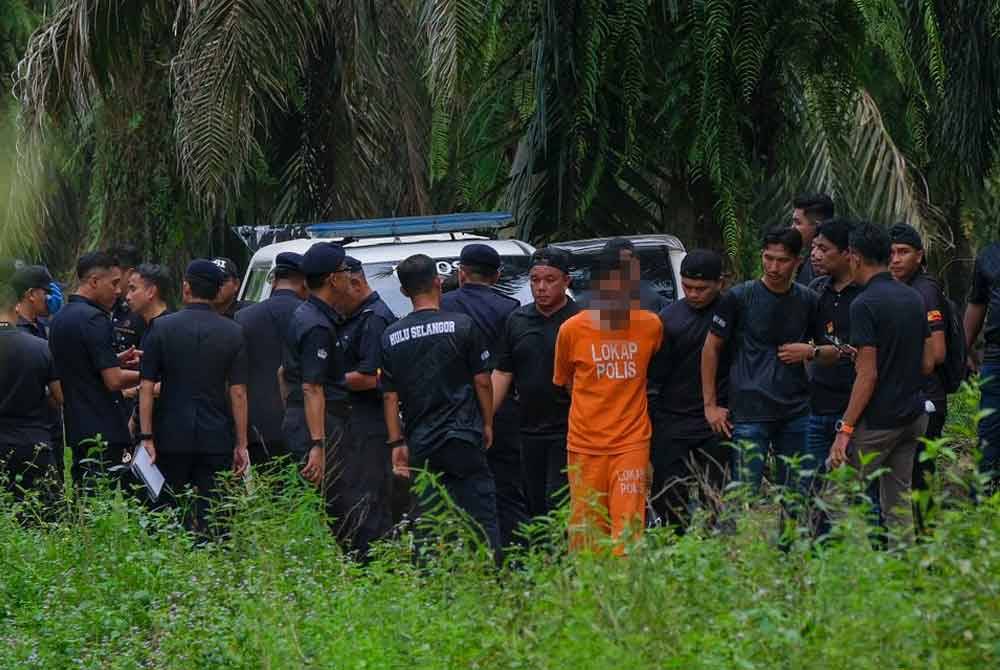 Polis kini menjalankan siasatan di kawasan kebun ubi dekat Slim River, Perak dipercayai lokasi suspek mengusahakan tanaman secara sambilan di kawasan terbabit.