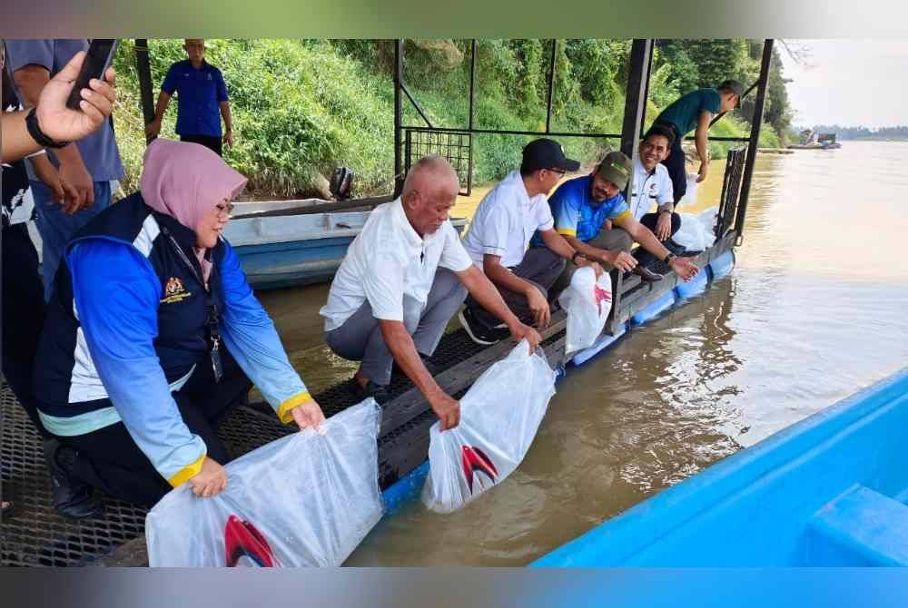 Dr Mohd Uzir (empat dari kiri) memaklumkan sesuatu ketika melepaskan anak ikan di sesi lawatan kerja pelaksanaan BP 2024 peringkat negeri Pahang di Kampung Pulau Manis di sini pada Rabu.