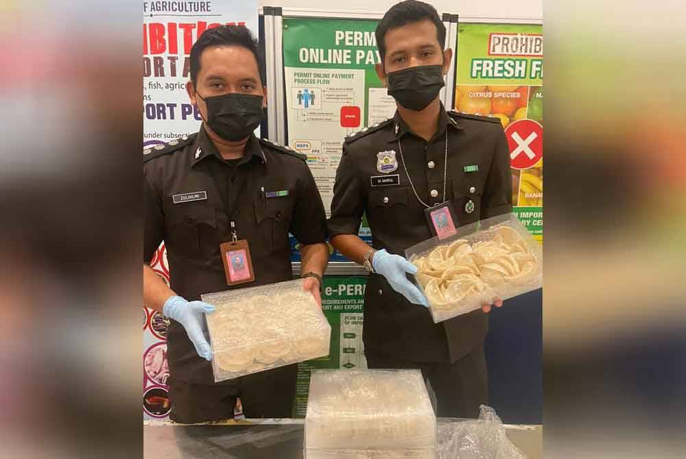 Maqis merampas sarang burung tanpa permit import sah di KLIA 2, pada Khamis lalu.