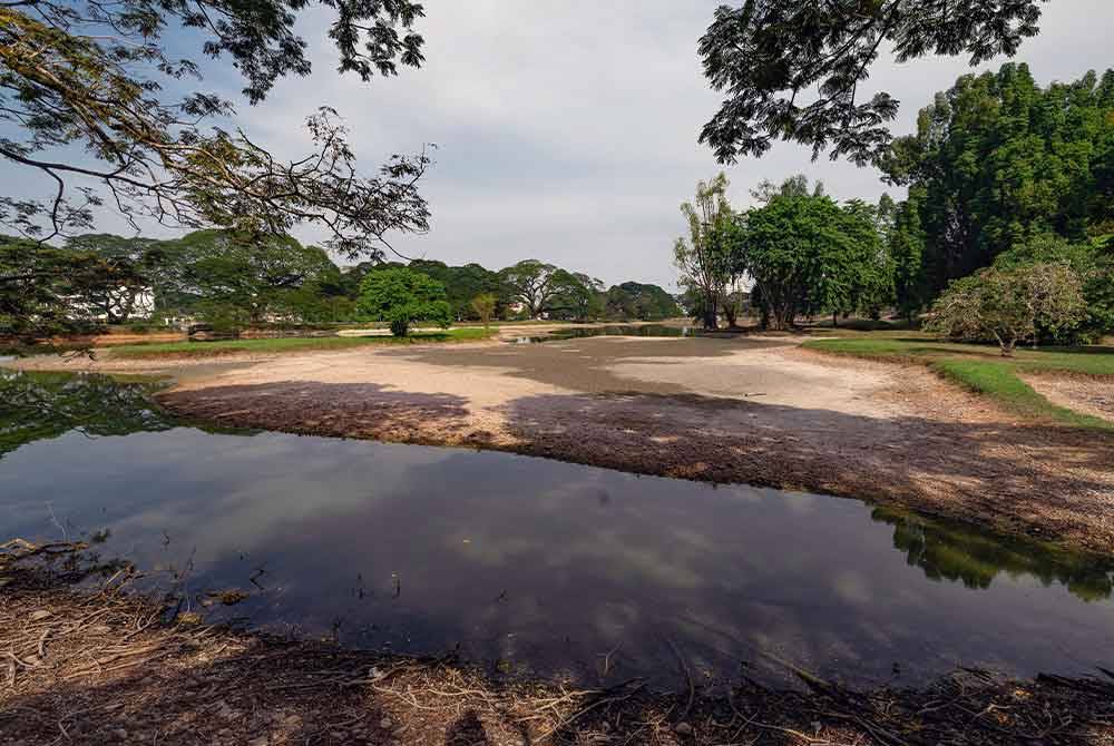 Keadaan Taman Tasik Taiping yang kering. Foto Bernama