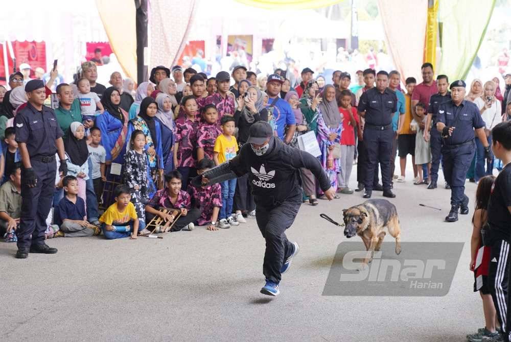 Anjing K9 mengejar penjenayah semasa demontrasi di Karnival Rakyat Karangkraf pada Sabtu. Foto Sinar Harian - ROSLI TALIB