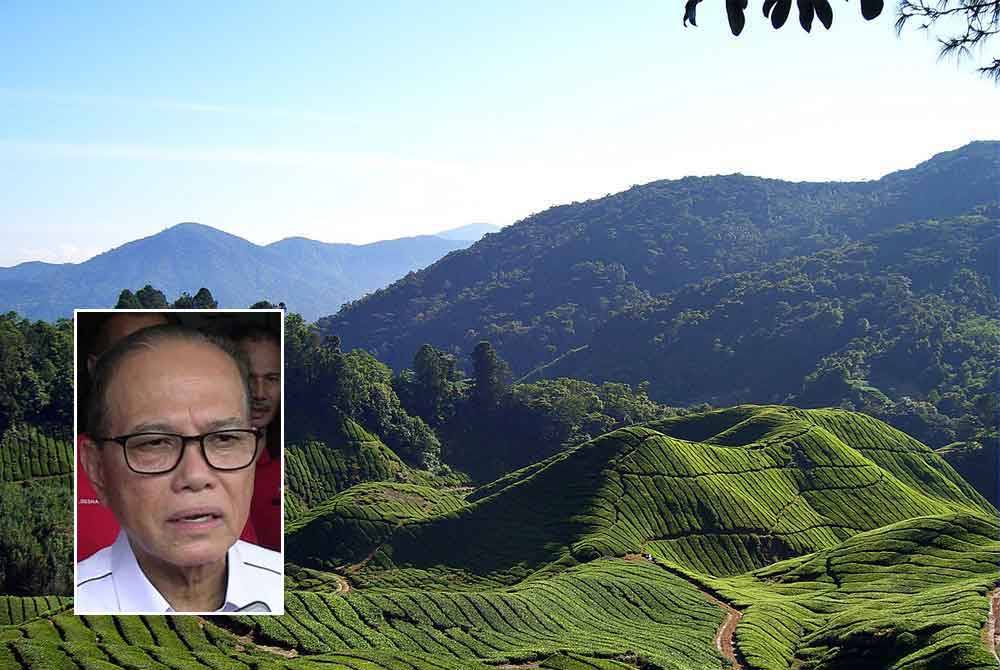 Kerajaan Pahang telah melaksanakan program pemutihan tanah pertanian milik PSK di Cameron Highlands. Gambar kecil: Wan Rosdy