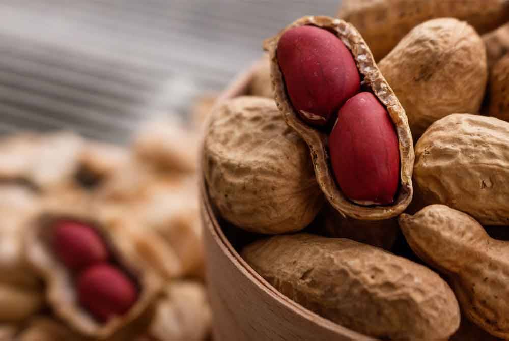 Kacang rebus mempunyai penggemar tersendiri dan mudah didapati di pasar-pasar malam. Gambar hiasan