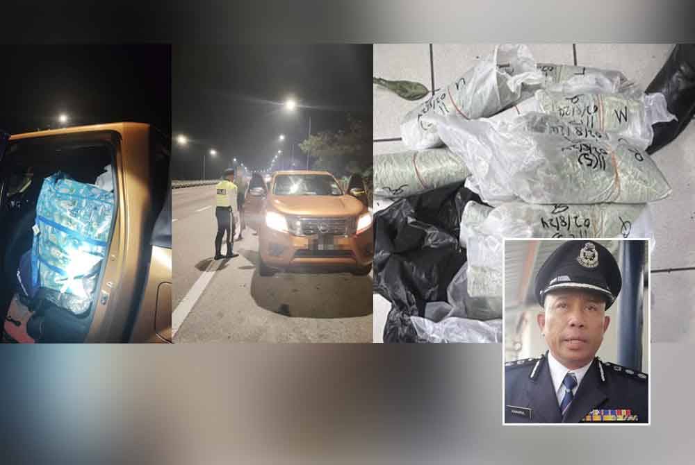 Antara bungkusan daun ketum yang dirampas susulan penahanan Nissan Navara di Lebuhraya Elite, Sepang pada Jumaat. Gambar kecil: Wan Kamarul Azran