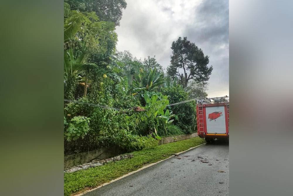 Lokasi Muhammad Assif dihempap pokok ketika dalam perjalanan ke sekolah pada pagi Selasa.