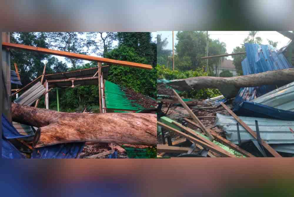 Kedai makan yang diusahakan Haliza dan suami musnah dihempap sebatang pokok.