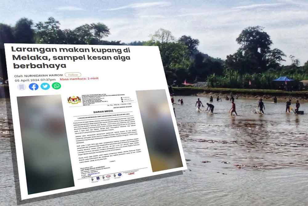 Sebelum ini DOF mengeluarkan larangan memakan dwicangkerang di Melaka serta-merta sehingga pemantauan tahap keselamatan bacaan biotoksin berada di paras yang dibenarkan serta kupang disahkan selamat untuk dimakan.