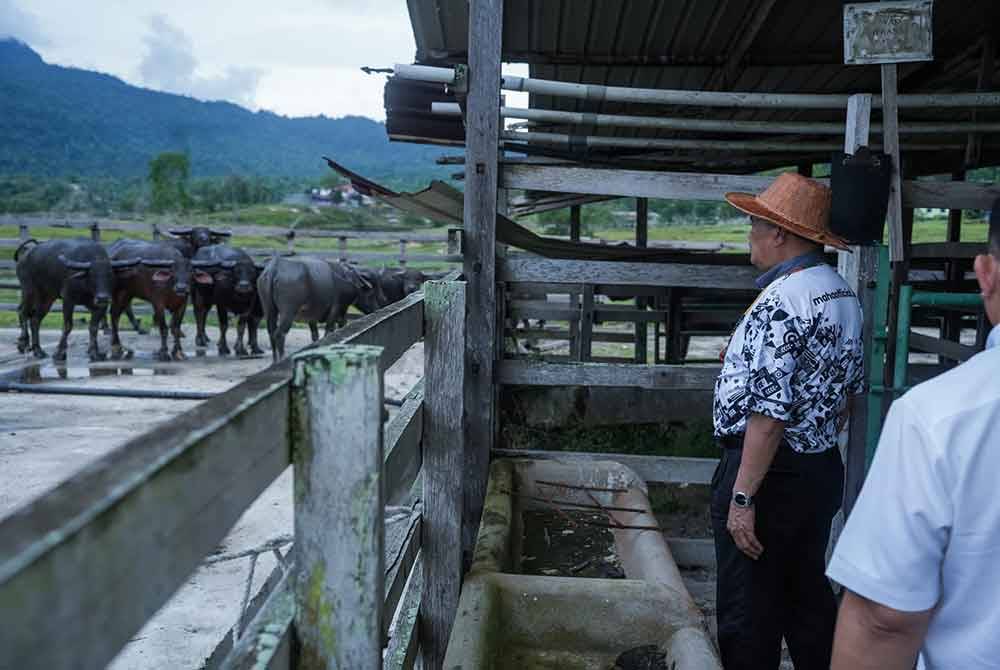 Mohamad berkongsi gambar ketika melawat salah sebuah ladang ternakan lembu dan kerbau di Facebooknya.