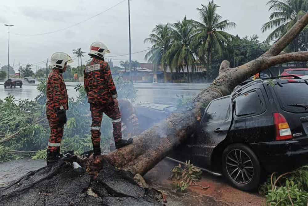 Anggota Bomba dan Penyelamat sedang giat mengalihkan pokok tumbang yang menghempap sebuah kereta di Jalan Kapar Batu 3 Klang, di sini, pada Ahad.