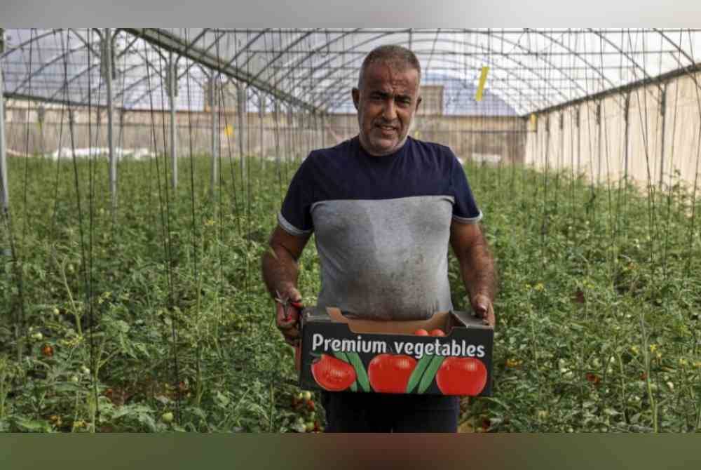 Hidup Jamil kini lebih tenang dan bahagia selepas bergelar pekebun sayur.