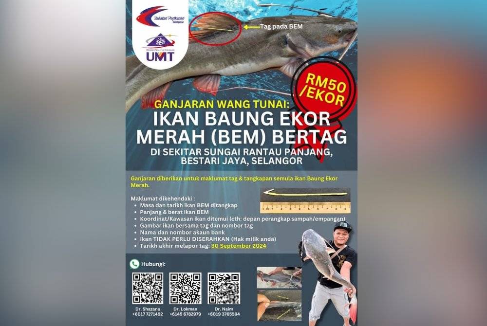 Poster yang dikongsi DOF Negeri Selangor di laman Facebooknya.