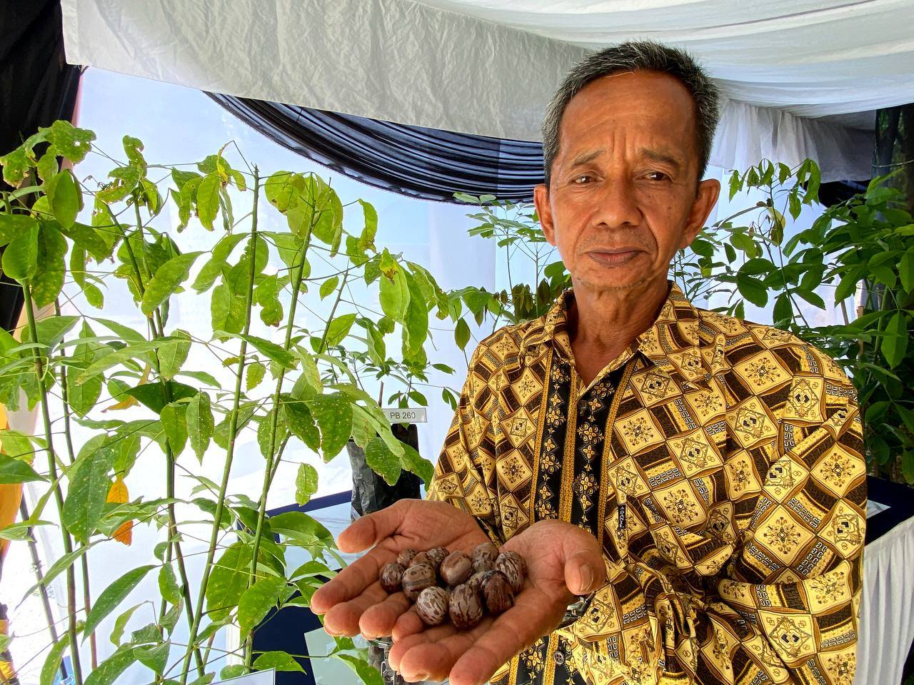 Sejak mengusahakan tanaman getah, Mahasan menerima pelbagai bantuan daripada RISDA seperti skim getah matang, insentif lateks dan bantuan musim tengkujuh.