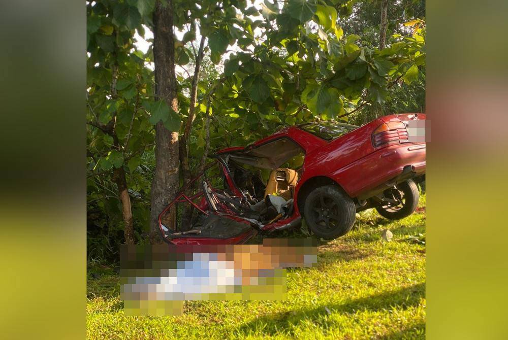 Seorang maut manakala dua lagi cedera selepas kereta dinaiki terbabas dan melanggar sebatang pokok jati di Jalan Kuala Perlis-Changlun dekat Arau, pagi Ahad. Foto PerlisAktif