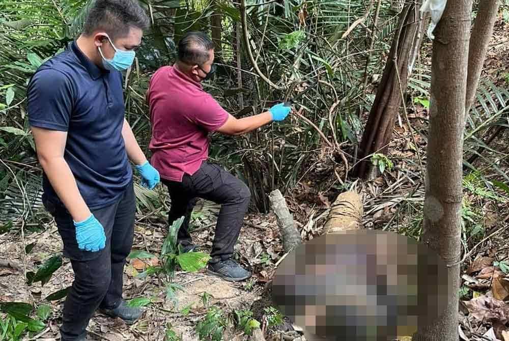 Anggota polis memeriksa mayat seorang lelaki yang dijumpai berdekatan belukar dekat Kampung Bukit Chatak, Dungun pada petang Sabtu.