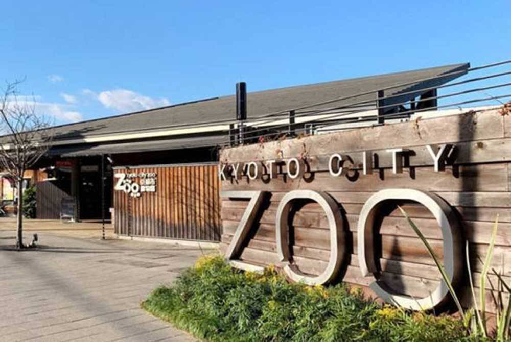 Zoo di Wilayah Kyoto telah memberikan monyet-monyet hidangan bersalut ais untuk membantu mereka menyejukkan badan semasa cuaca panas terik musim panas.