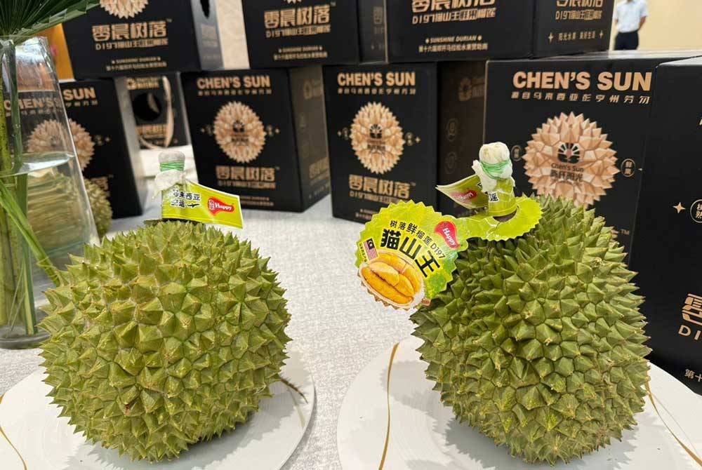 Sejumlah 40 tan metrik durian segar jenis Musang King, D24, IOI dan Duri Hitam melibatkan lapan syarikat pengeluar di negara ini dihantar ke China.