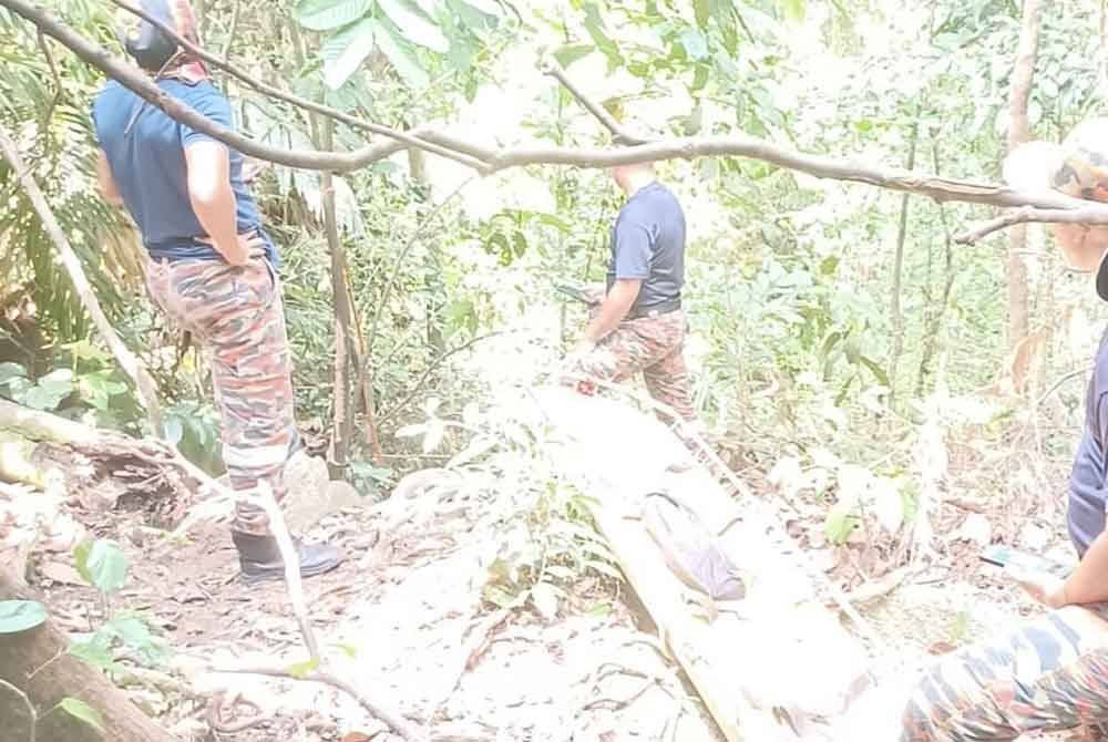 Pasukan bomba membuat pengusung untuk menyelamatkan mangsa yang mengalami sesak nafas ketika mendaki di Bukit Galing pada Ahad.