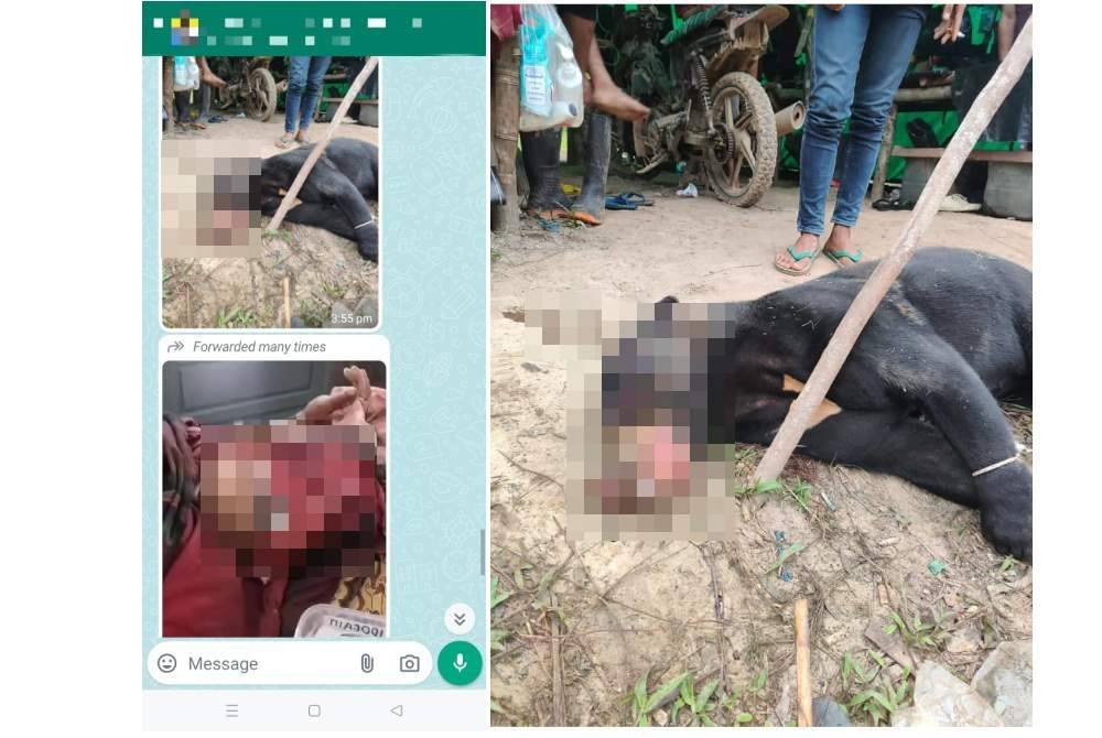 Gambar dan video kejadian yang dikatakan berlaku di Kuala Betis tular di WhatsApp.