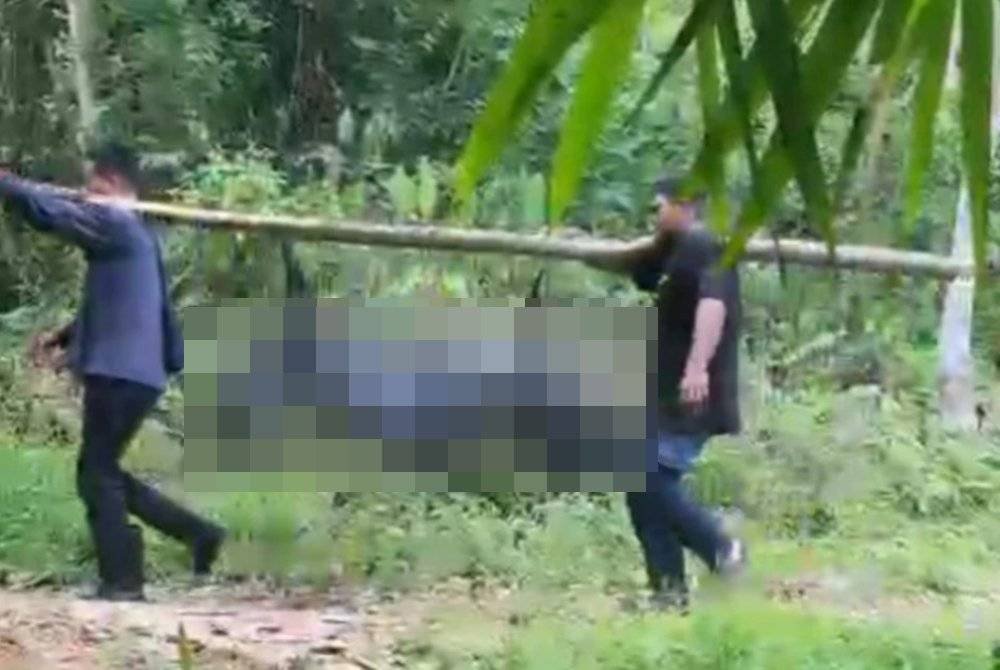 Seorang lelaki maut selepas terjatuh dari pokok petai berketinggian 10 meter di sebuah kebun durian dekat Kampung Changkat Perah, Batu Kurau di sini pada Khamis.