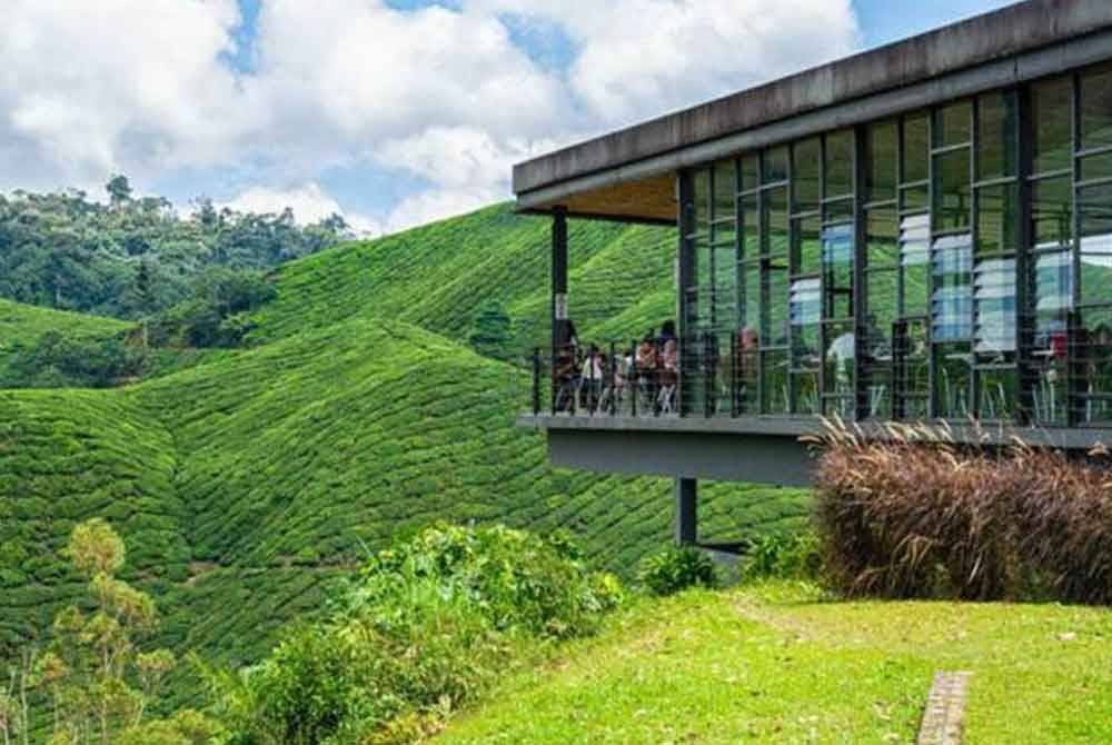 Kawasan peranginan Cameron Highlands semakin kurang sejuk. Gambar hiasan