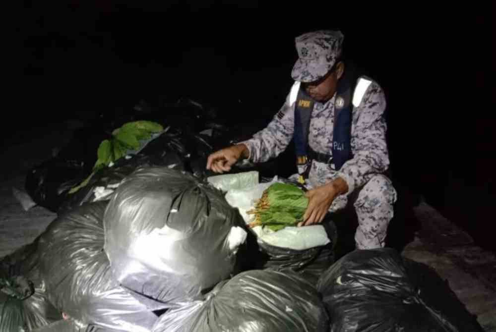 Anggota Maritim memeriksa bungkusan mengandungi daun ketum yang dilonggokkan atas jeti persendirian di muara Kuala Kedah pada malam Jumaat. Foto Maritim Malaysia