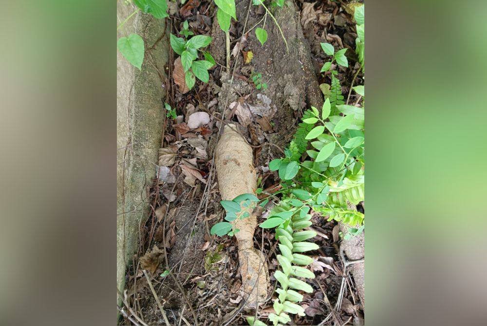 Bom lama jenis UXO ditemui di sebuah ladang sawit di Jalan Batu Belang, Tampin.