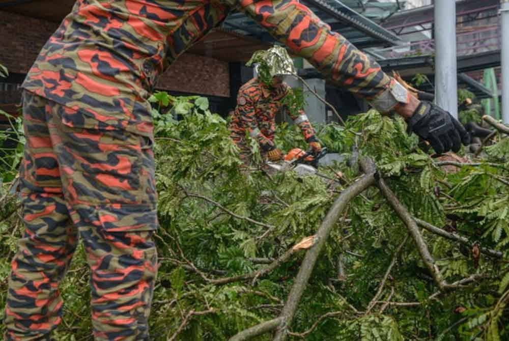 JBPM Kelantan merekodkan 23 kes pokok tumbang dalam tempoh lima hari sejak Khamis lepas. Gambar hiasan