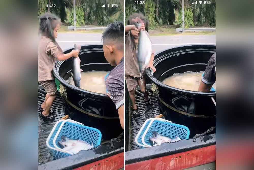 Tangkap layar menunjukkan Puteri Nurhelena memegang ikan patin.