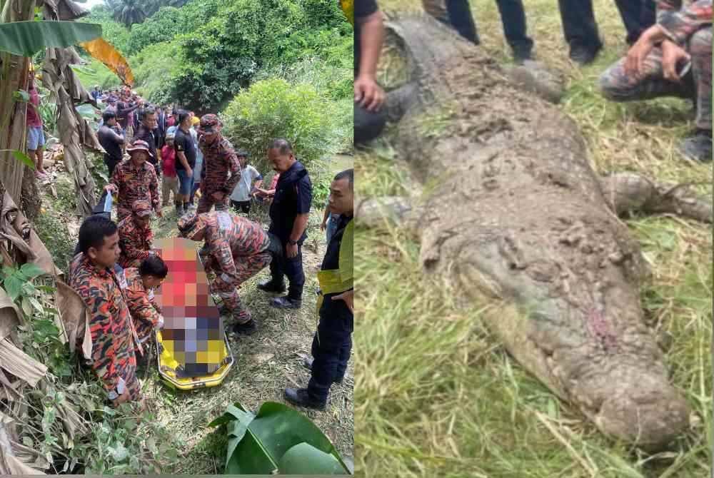 Pasukan bomba berjaya mengambil mayat mangsa di Sungai Matamba. Buaya sepanjang kira-kira 4.5 kilometer mati selepas ditembak dengan lima das tembakan oleh pihak JHL di Sungai Matamba di kawasan ladang di Jalan Silabukan, Lahad Datu.