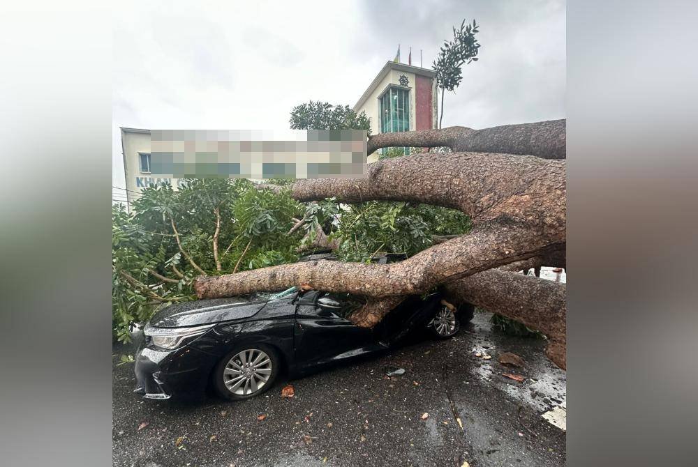 Seorang wanita terselamat selepas kereta dipandunya dihempap sebatang pokok di Jalan Siram, Butterworth. Foto bomba