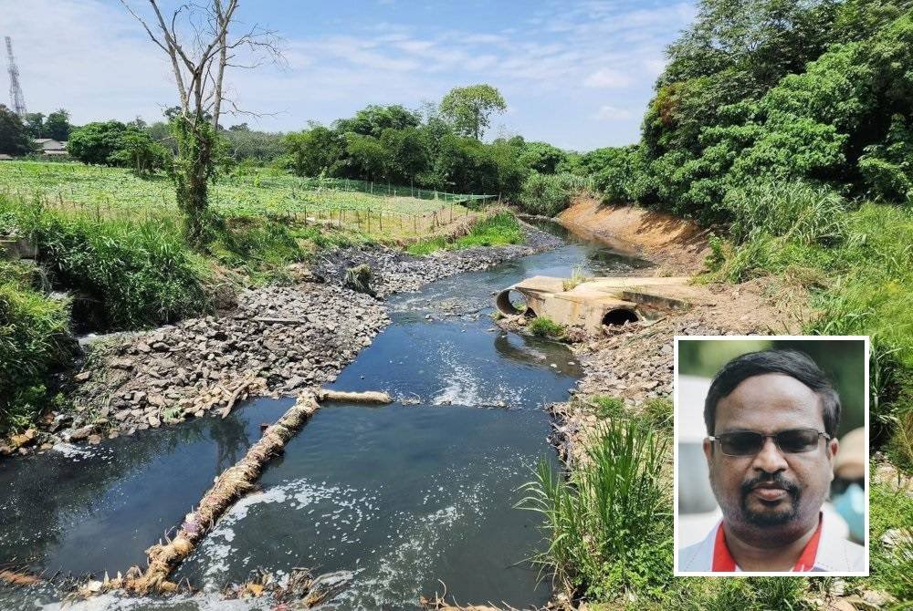 Keadaan di Sungai Sekah, Nilai yang berwarna hitam. (Gambar kecil: Veerapan)