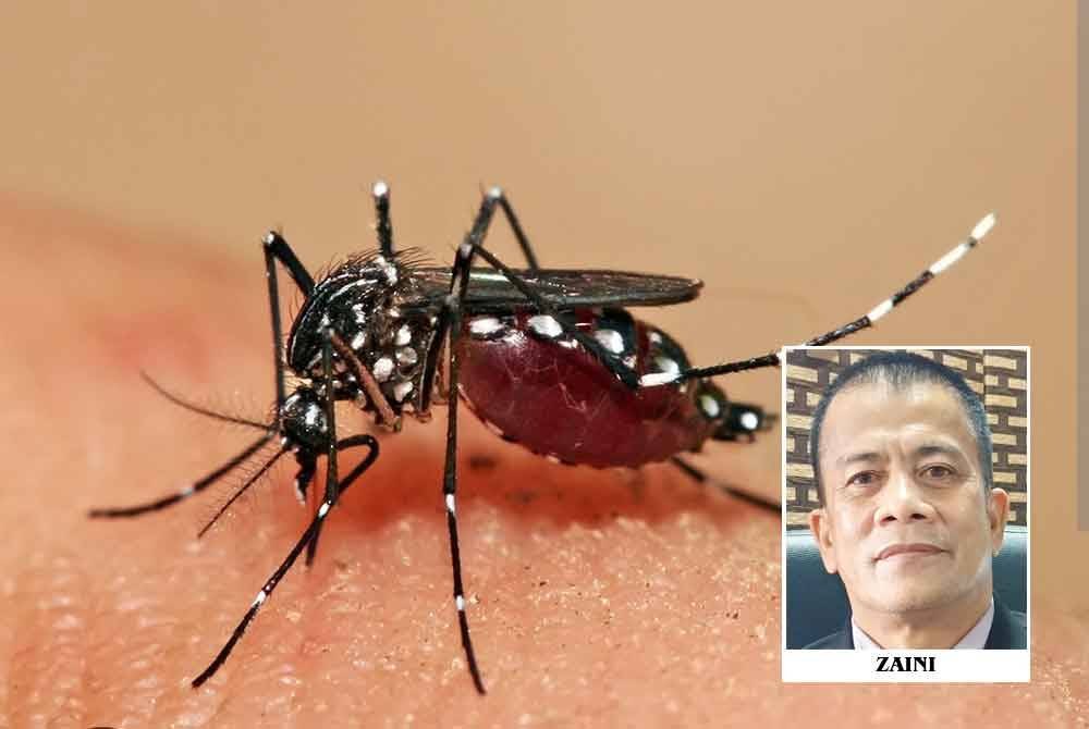 KNK mengeluarkan 1,732 kompaun dengan nilaian RM866,000 kepada pemilik premis yang menjadi tempat pembiakan aedes sehingga 7 September lalu.