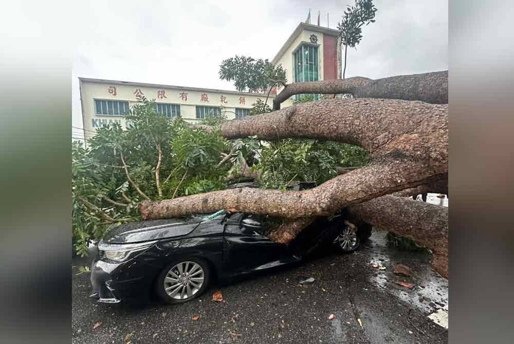 Hampir 200 laporan pokok tumbang direkodkan di seluruh Pulau Pinang sejak Ahad lalu.