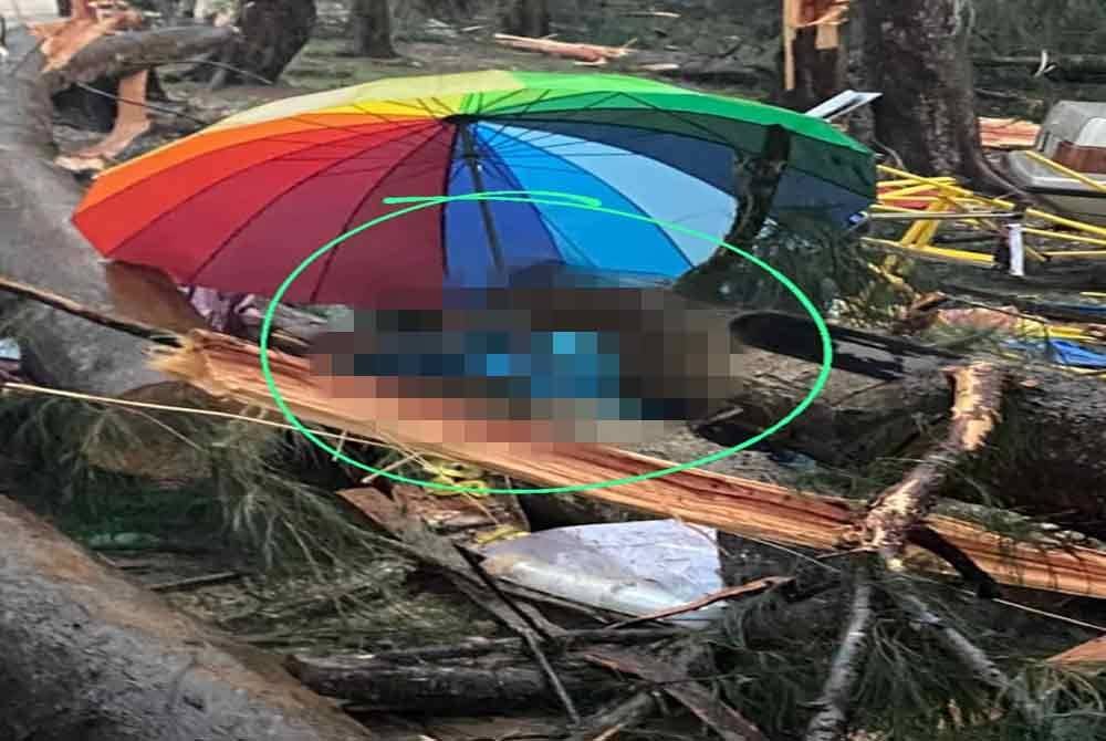 Keadaan mangsa yang dihempap pokok dalam kejadian hujan lebat di Pantai Penunjuk, Kijal di Kemaman