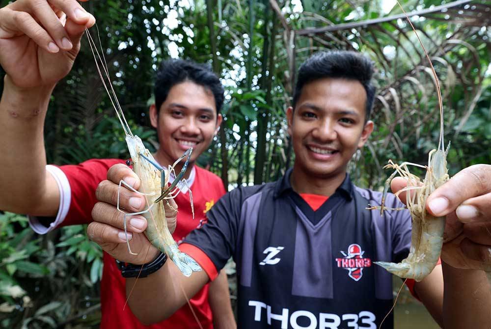 Mohd Ikhwan (kanan) bersama sepupunya Mohd Aizat Adha menunjukkan udang galah yang ditangkap di tepian Sungai Anak Bukit berhampiran rumah mereka ketika tinjauan banjir di Suka Menanti, pada Isnin. Foto Bernama