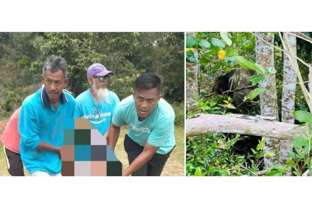 Mangsa maut setelah dipijak seekor gajah di Felda Tenggaroh.