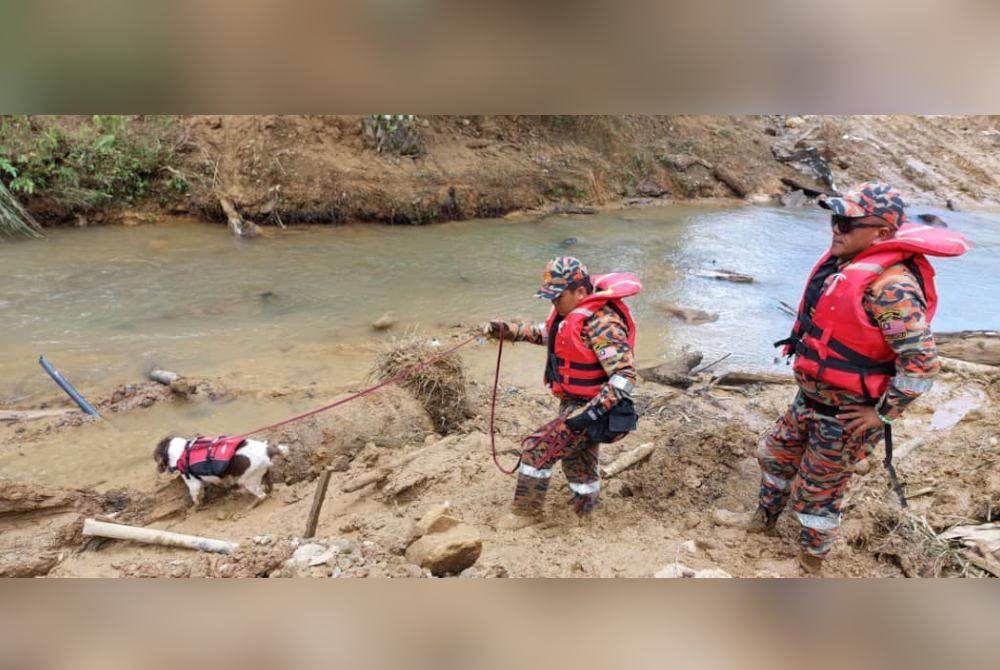 Operasi SAR dilakukan di permukaan atas air dan turut mendapat bantuan daripada anjing pengesan dari Unit K9.