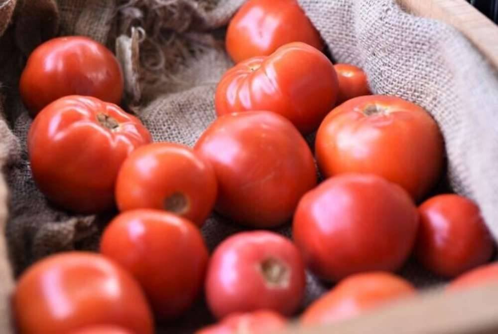 Tomato merupakan antara bahan asas utama dalam menu makanan di Asia Barat. Foto Agensi