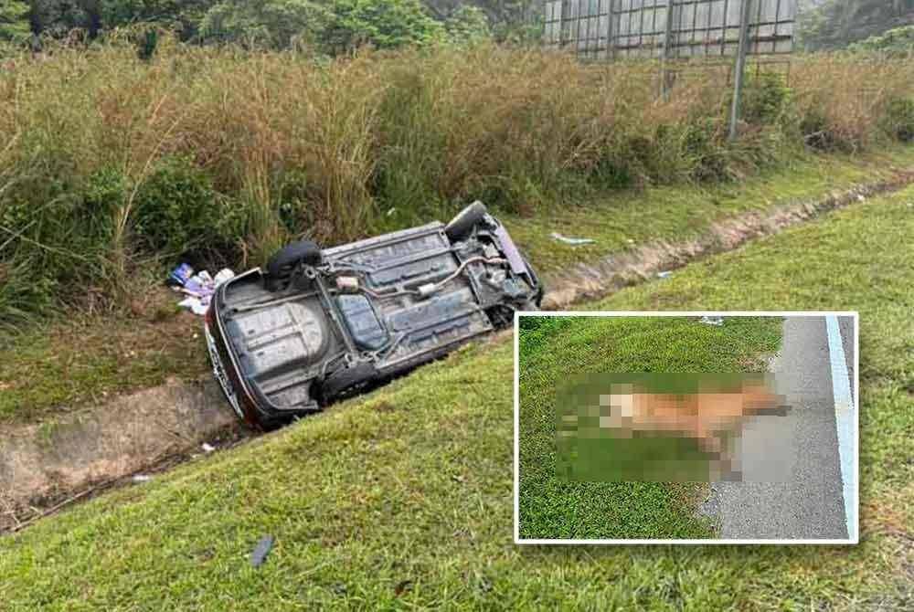 Keadaan kereta Perodua Bezza yang terbabit dalam kemalangan. Gambar kecil: Pemandu mengelak bangkai lembu di tengah jalan. Foto Ihsan PDRM.