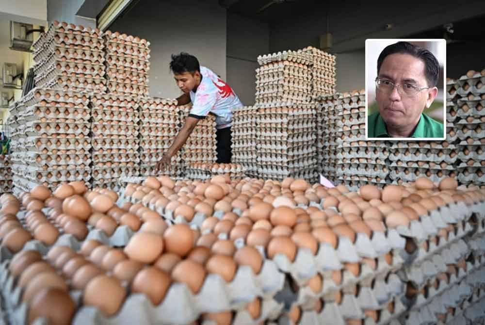 Satu kajian impak mendalam perlu dilakukan bersama semua pemegang taruh sebelum keputusan penamatan subsidi telur ayam gred A, B dan C dilaksanakan kelak. Gambar kecil: Khairil Nizam