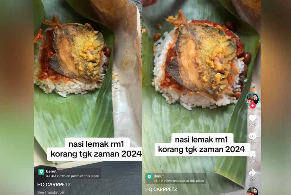 Nasi lemak ikan bawal goreng yang dijual pada harga RM1 mendapat perhatian warganet.