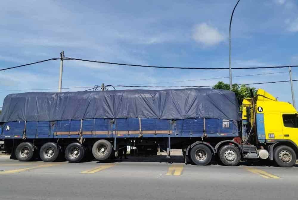 Polis menumpaskan kegiatan penyeludupan sebanyak 41,000 kilogram (kg) kelapa yang dianggarkan bernilai RM205,000 selepas menahan sebuah treler di Pengkalan Kubor di Tumpat semalam. Foto ihsan PGA