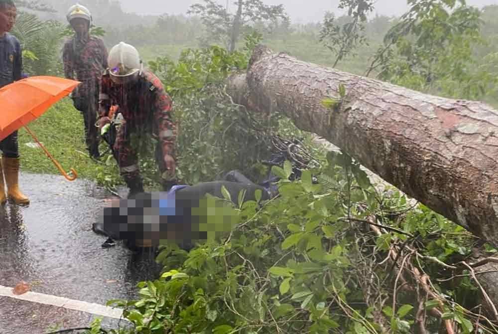 Mangsa maut akibat dihempap pokok tumbang dalam kejadian hujan lebat dan angin kencang di Kampung Bandar Hilir, Sik, Kedah.