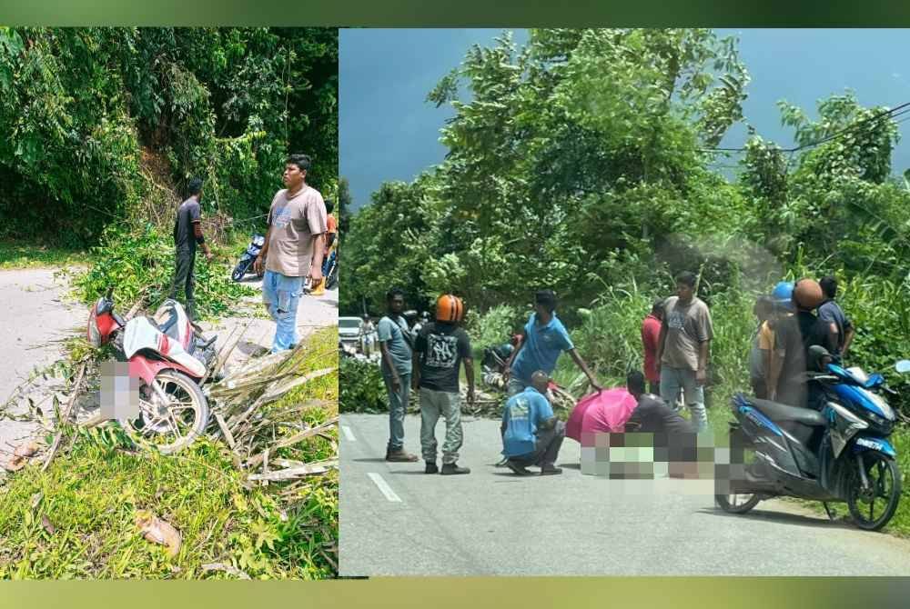 Dua beranak cedera selepas dihempap pokok kelapa sawit tumbang di Kilometer 23 Jalan Lipis-Benta pada Selasa.